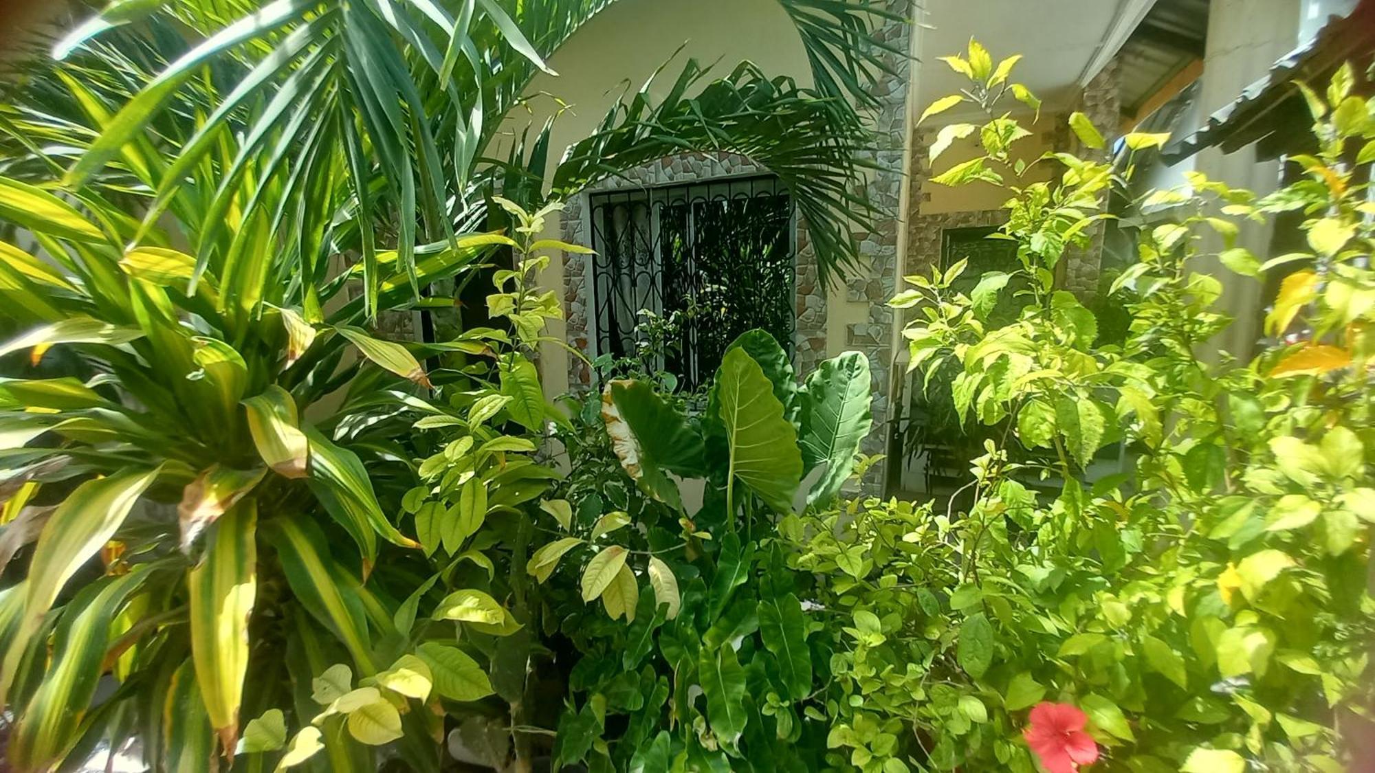 Mount Zion Guest House, Mtwapa Mtomondoni Mombasa Kültér fotó