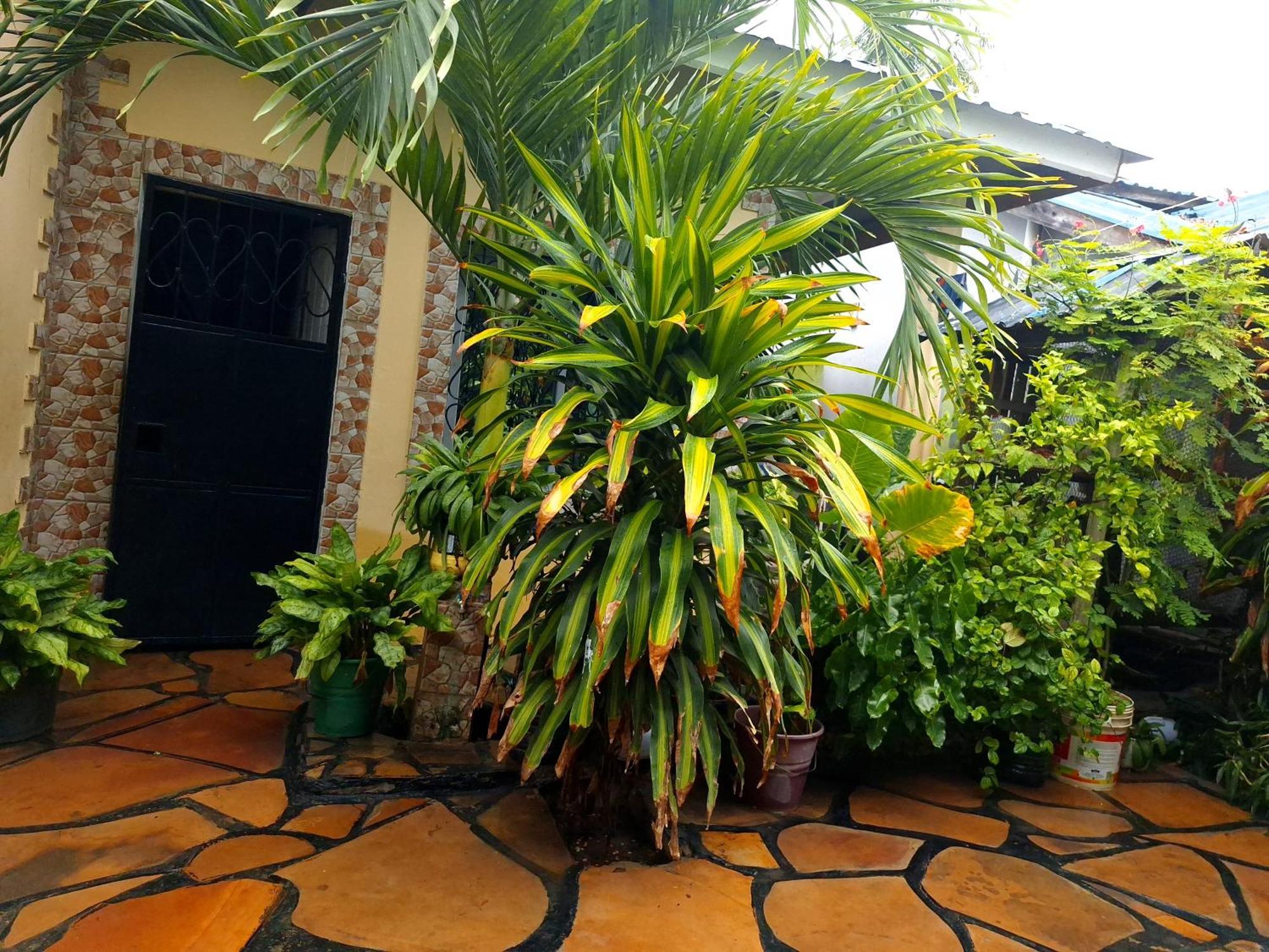 Mount Zion Guest House, Mtwapa Mtomondoni Mombasa Kültér fotó